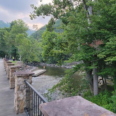 Villa Bear Necessities, Luxury 5Bd Mtn Views, Hot Tub, Many Bear Sightings Gatlinburg Exterior foto