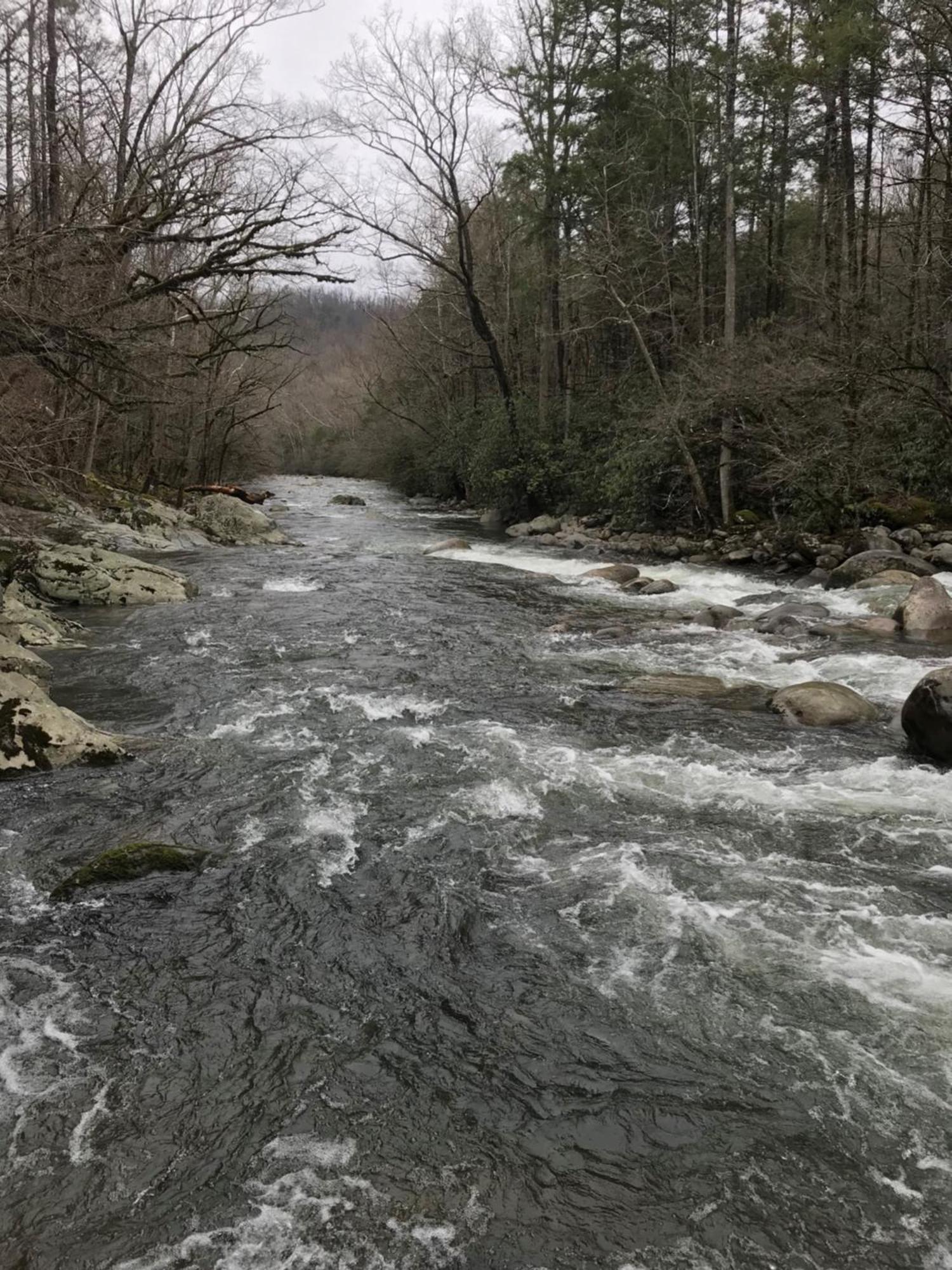 Villa Bear Necessities, Luxury 5Bd Mtn Views, Hot Tub, Many Bear Sightings Gatlinburg Exterior foto