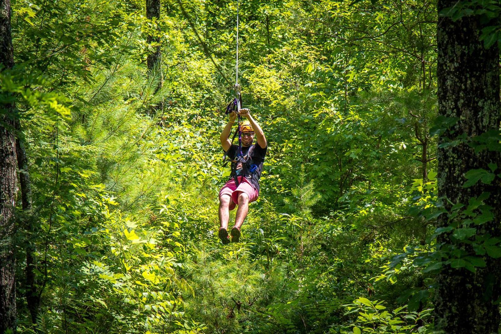 Villa Bear Necessities, Luxury 5Bd Mtn Views, Hot Tub, Many Bear Sightings Gatlinburg Exterior foto
